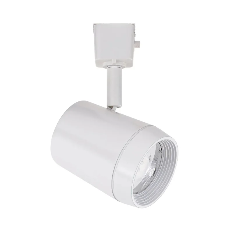 beeslighting22617598
