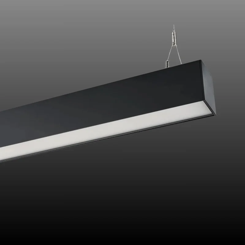 beeslighting22619607