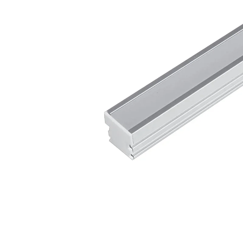 beeslighting22619667