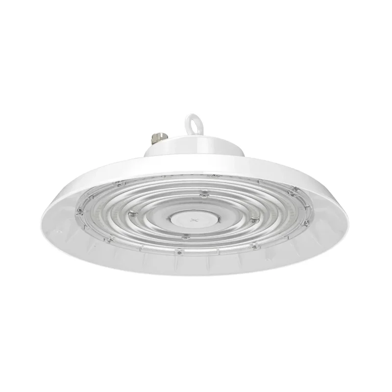 beeslighting22620010