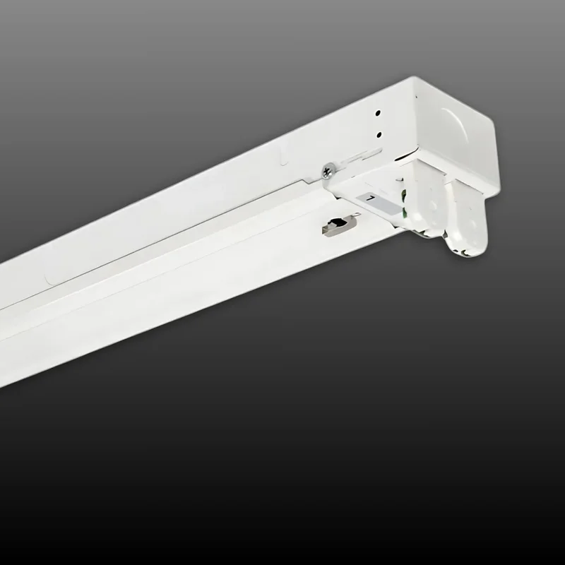 beeslighting22620031
