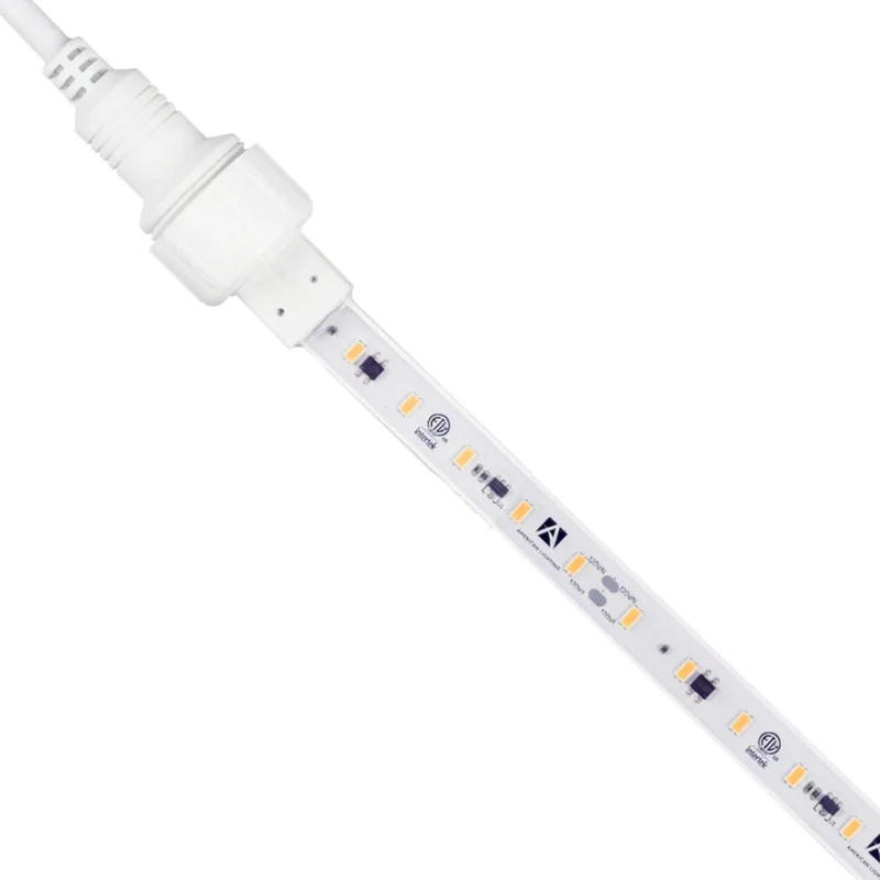 beeslighting22621189