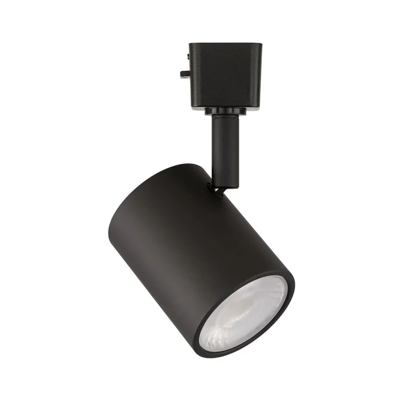 beeslighting22621587