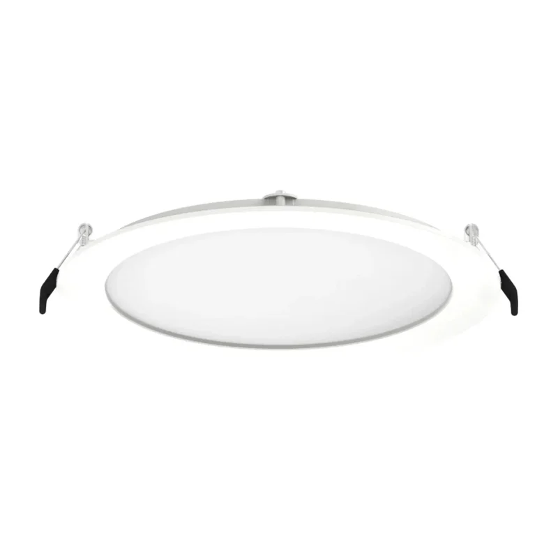beeslighting22641550