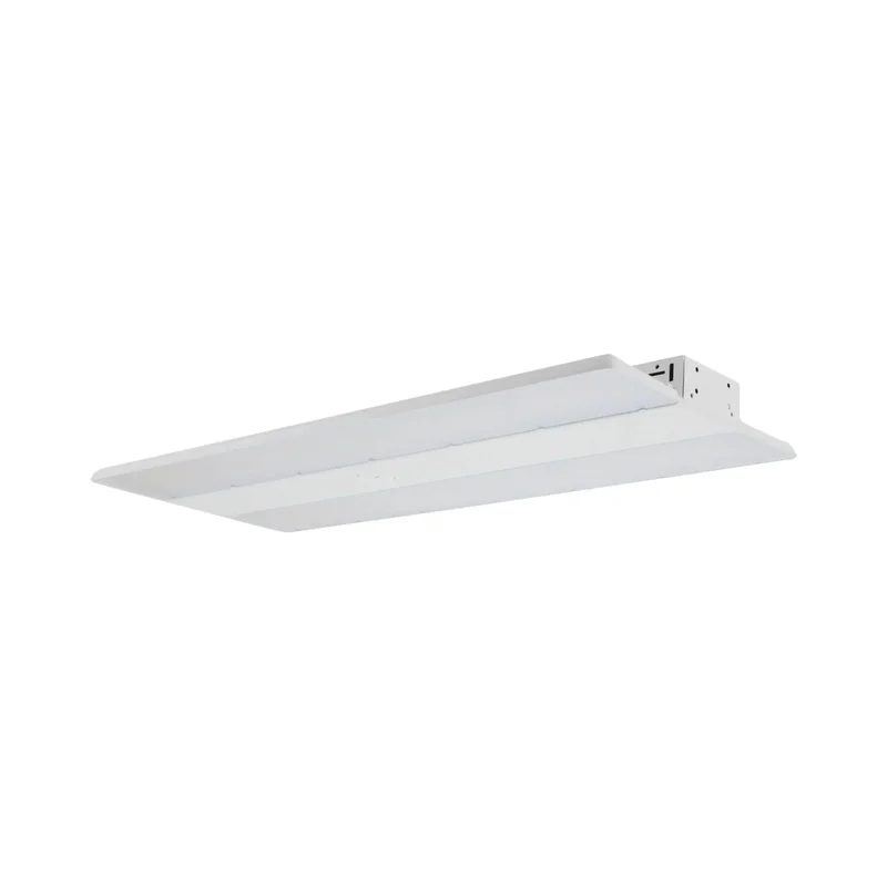 beeslighting22645670