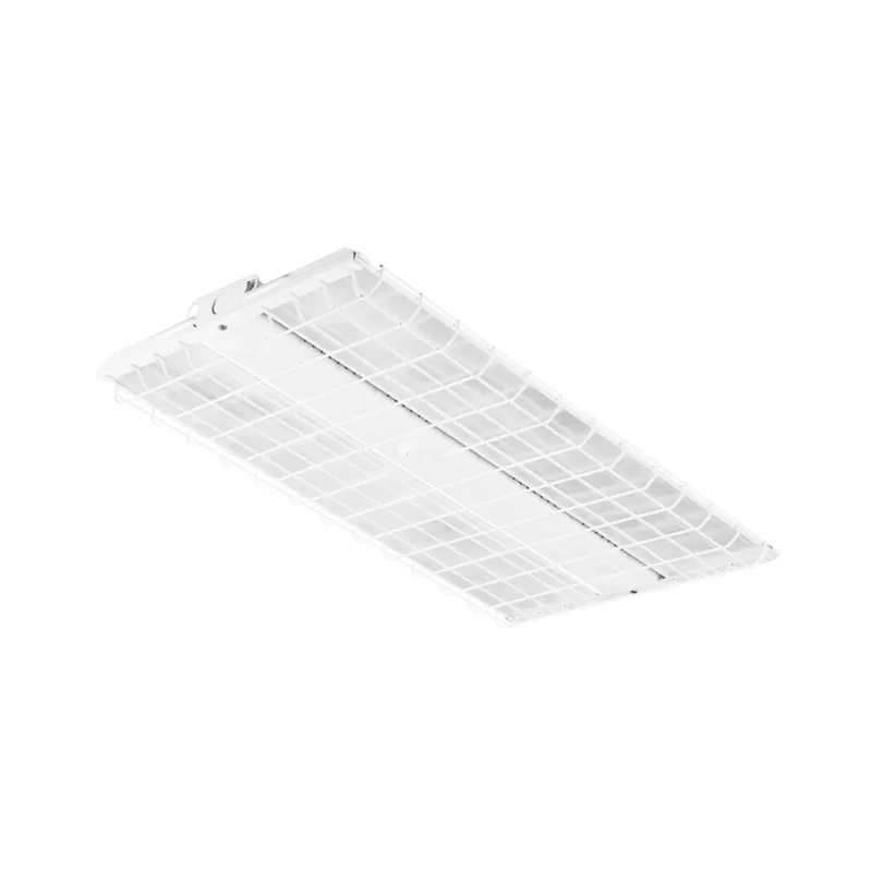 beeslighting22645792