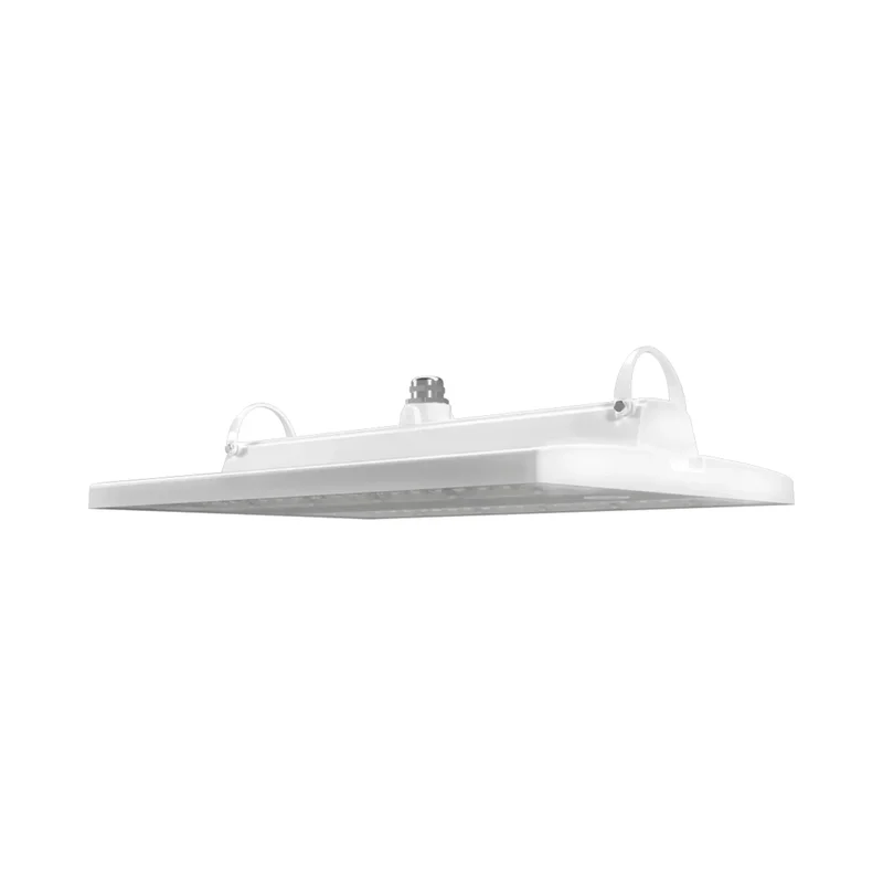 beeslighting22646022