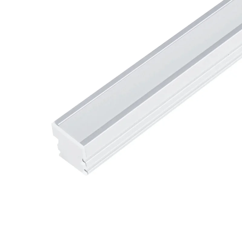 beeslighting22646269