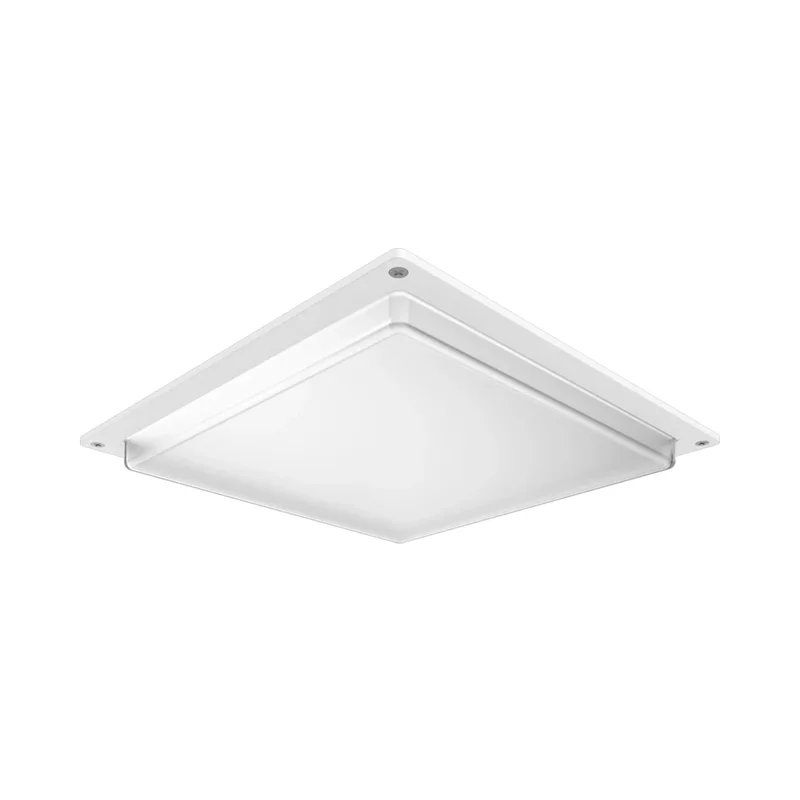 beeslighting22646691