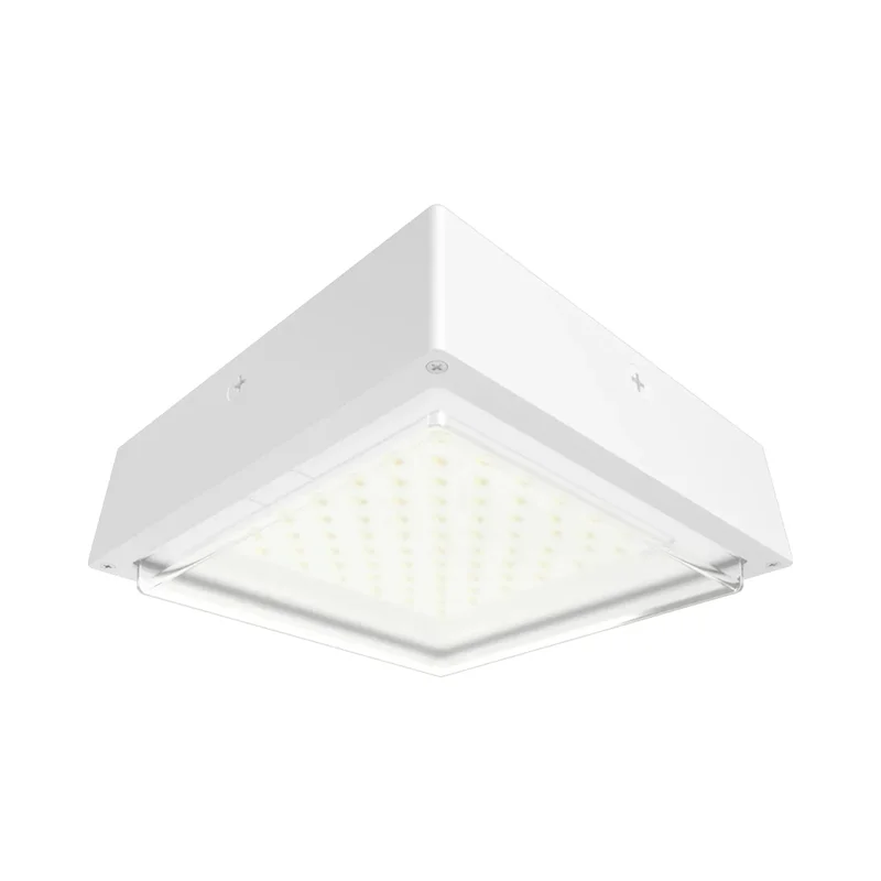 beeslighting22646717