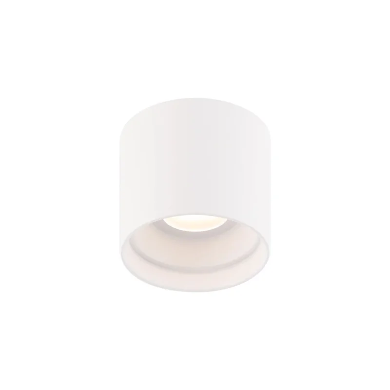 beeslighting22647786