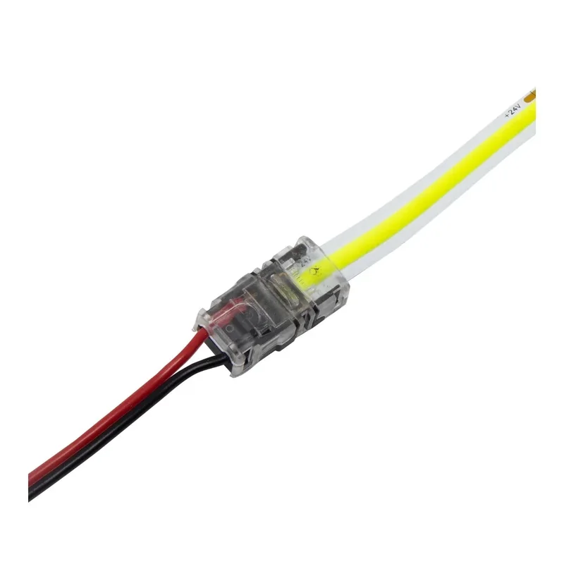 beeslighting22657389
