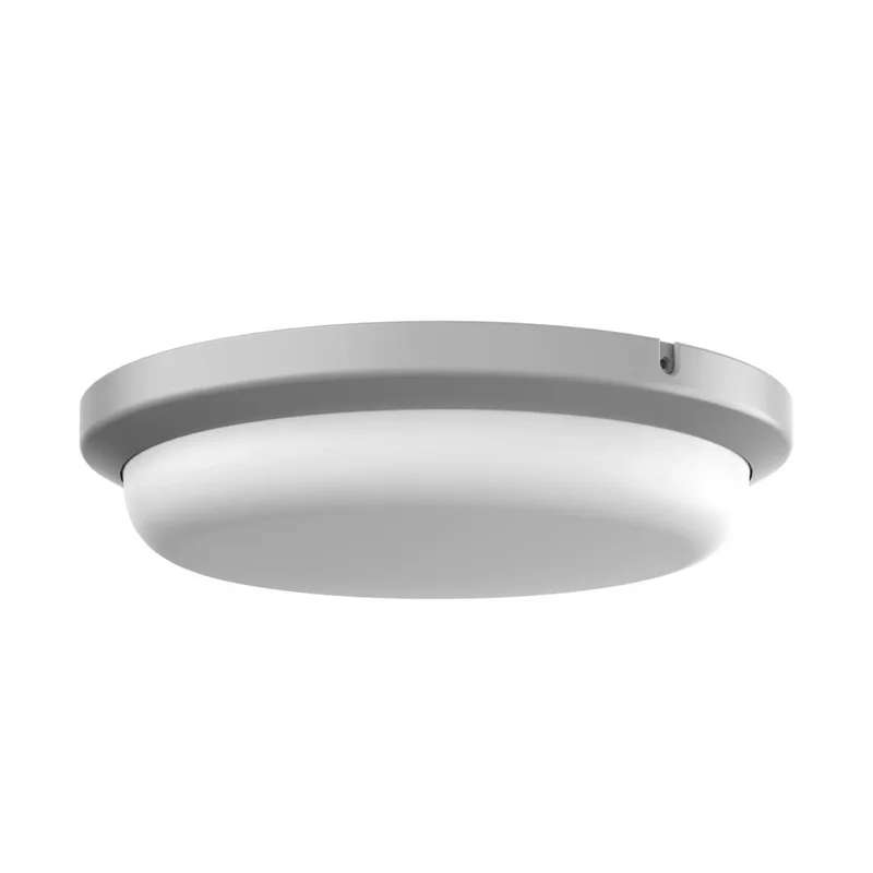 beeslighting22658805