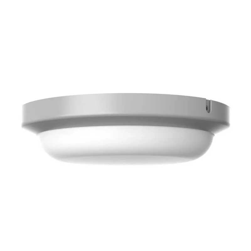 beeslighting22660852