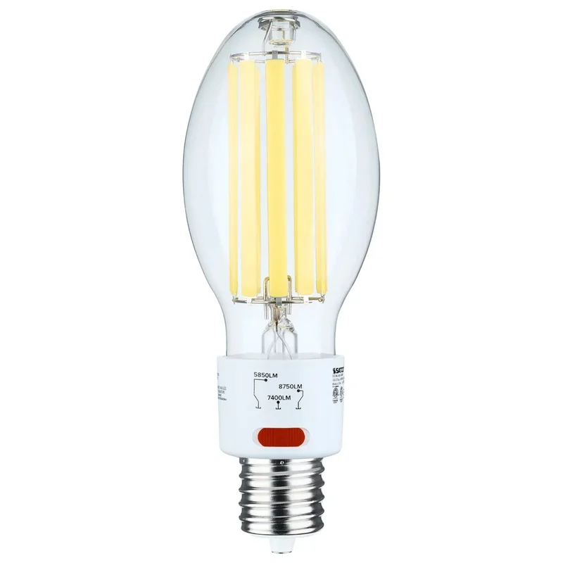 beeslighting22664251