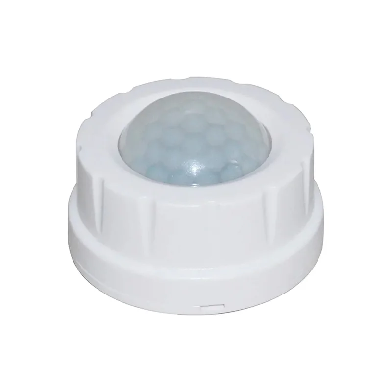 beeslighting22665272