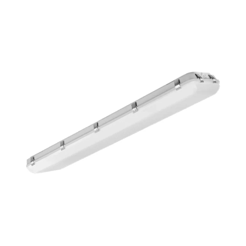 beeslighting32510948
