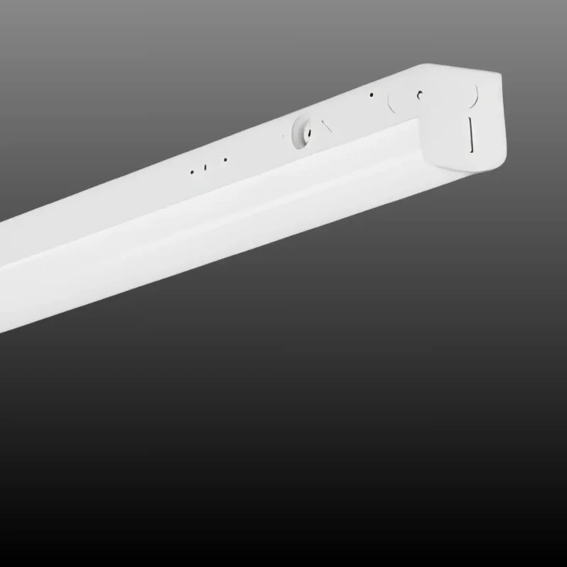 beeslighting32511526