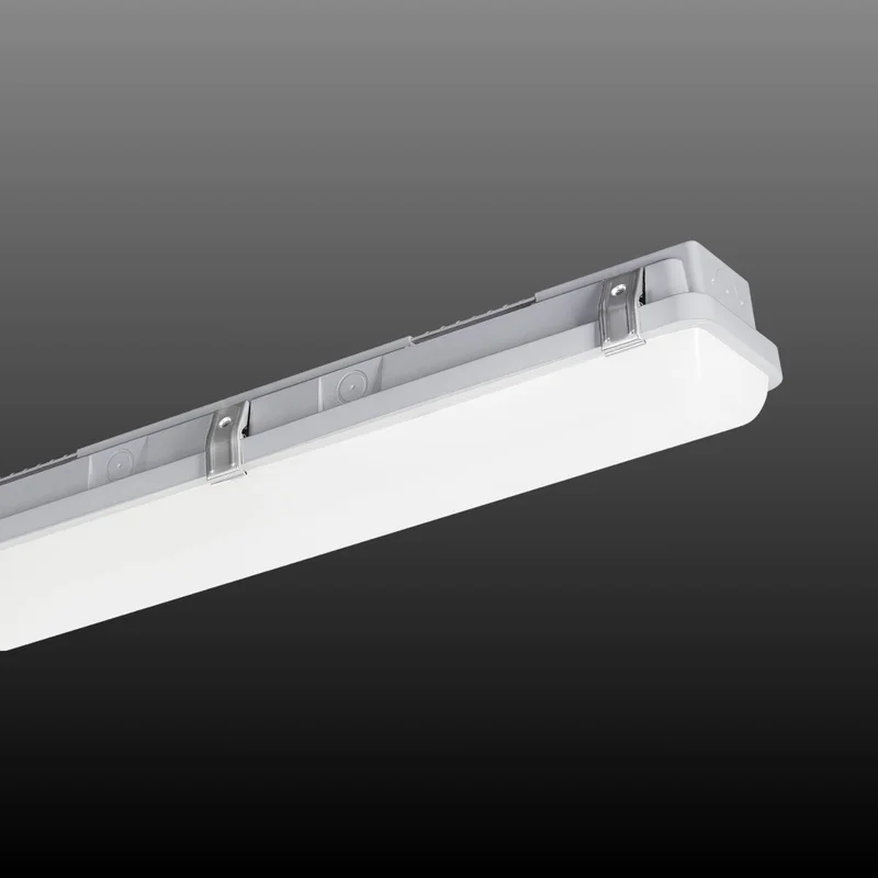 beeslighting32511798