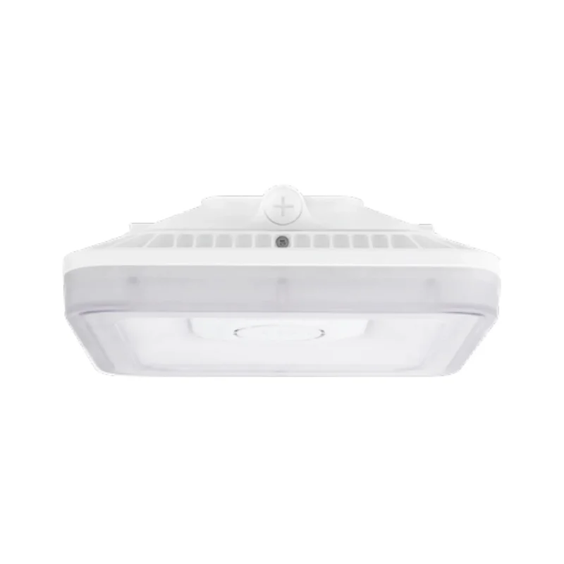 beeslighting32511955