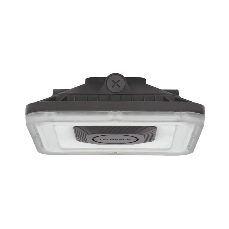 beeslighting32512394