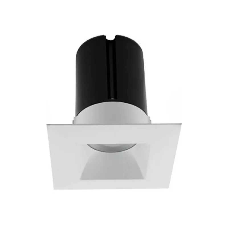 beeslighting32516772