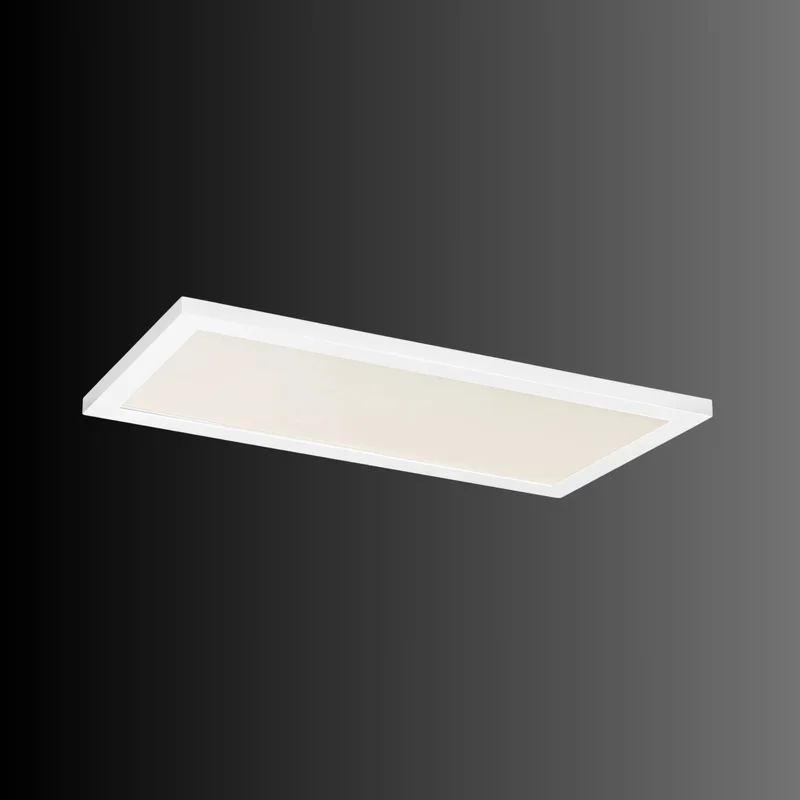 beeslighting32563901
