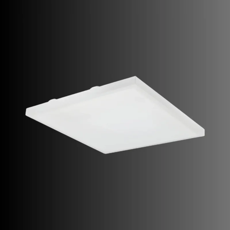beeslighting32568859