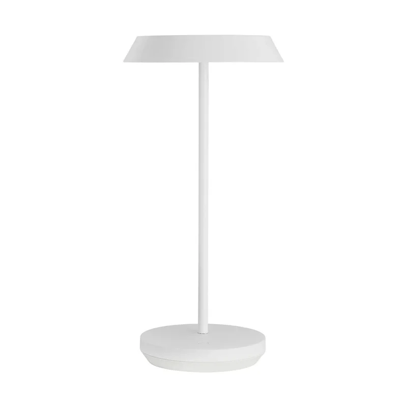 beeslighting32613388