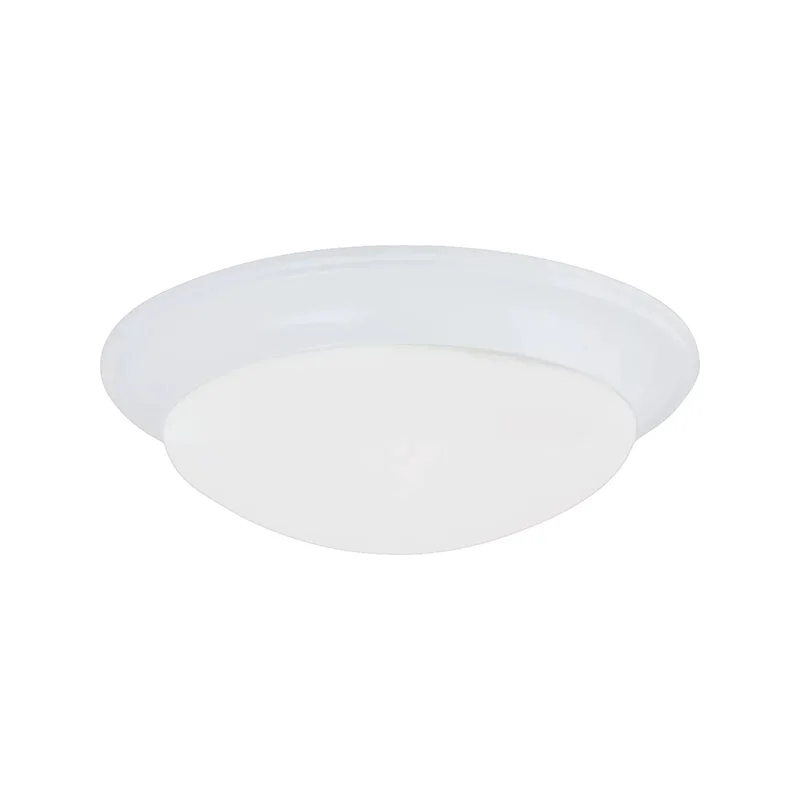 beeslighting32616977