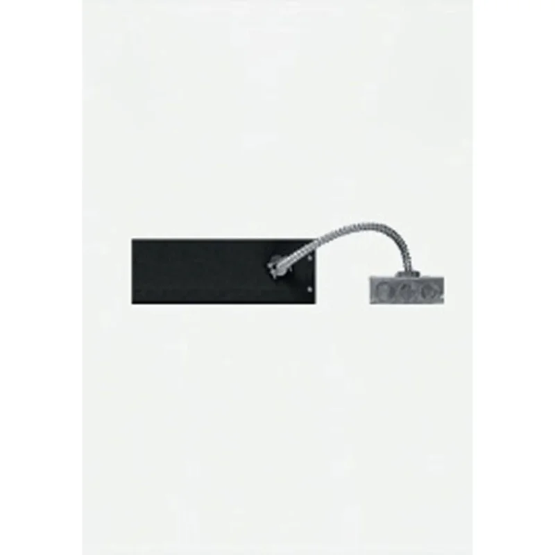 beeslighting32625941