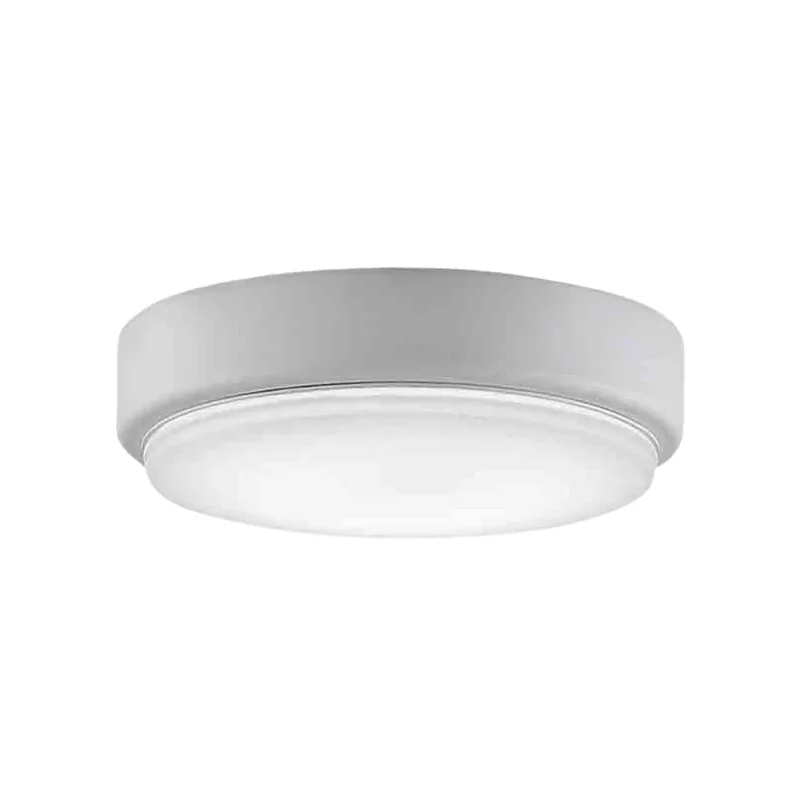beeslighting32642282