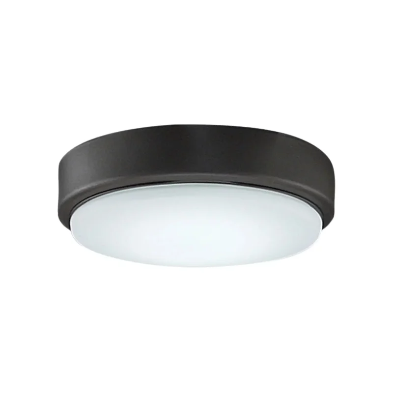 beeslighting32642869