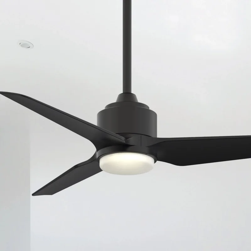 beeslighting32644783