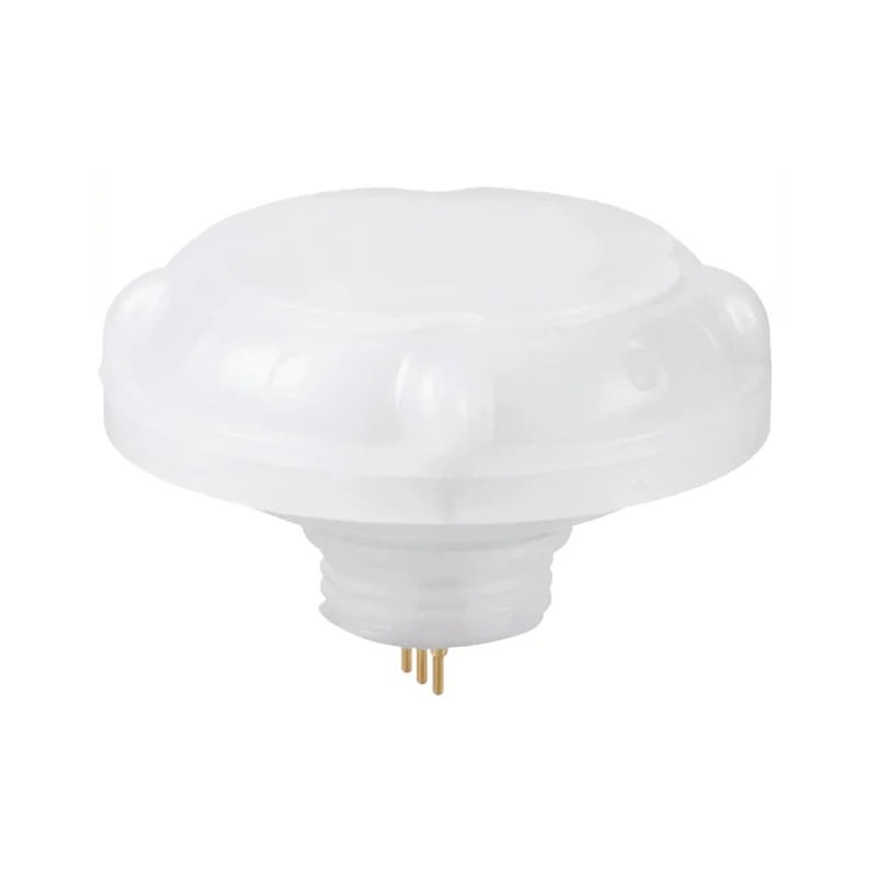 beeslighting32647880