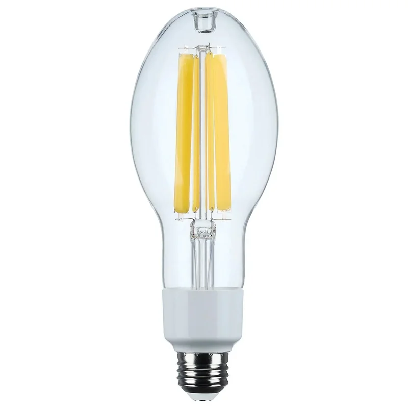 beeslighting32648098