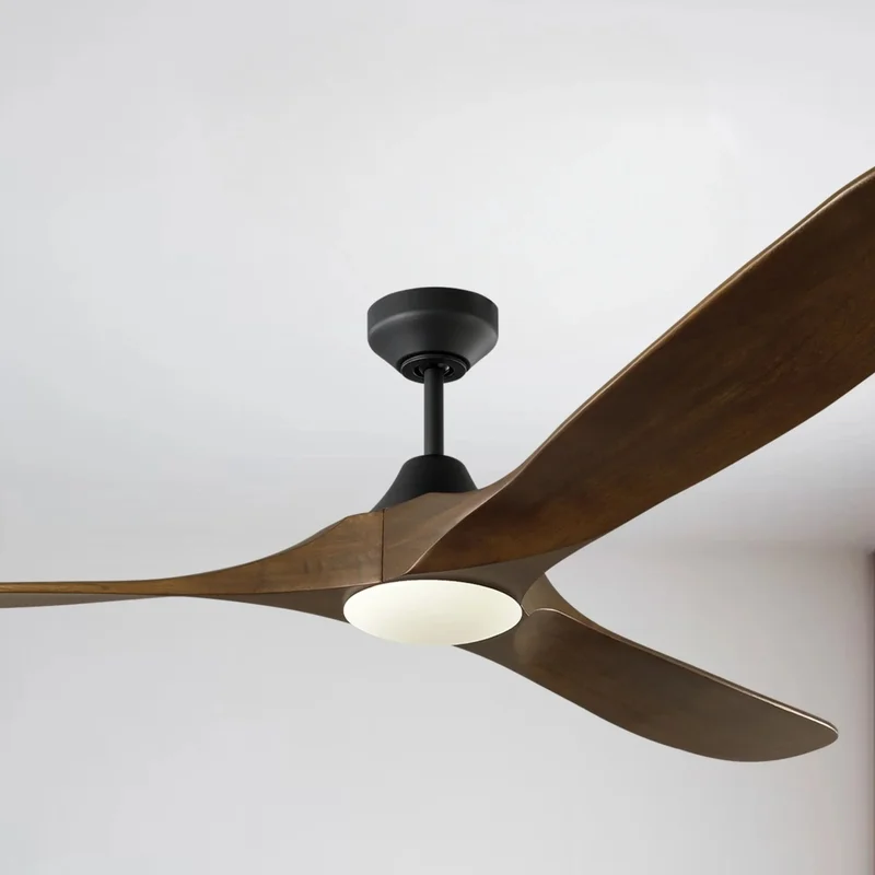 beeslighting32648202