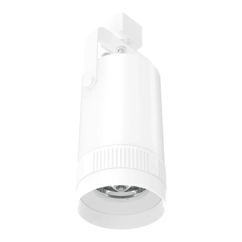 beeslighting32650146