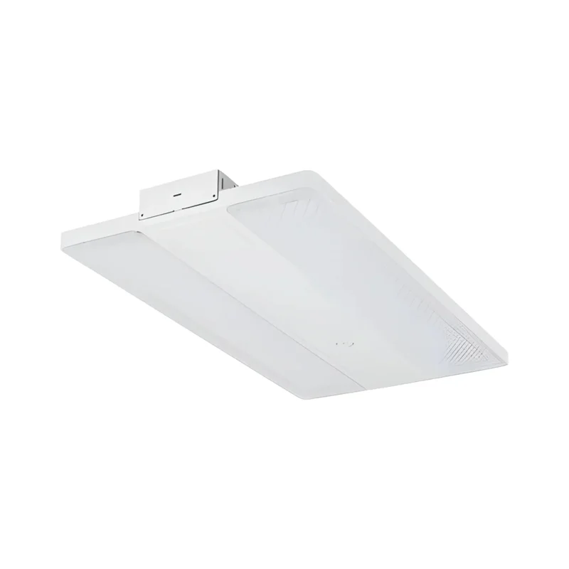 beeslighting32653573