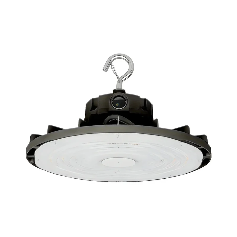 beeslighting32653595
