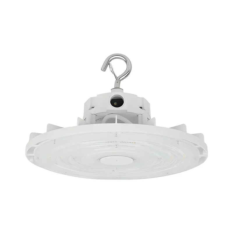 beeslighting32653640