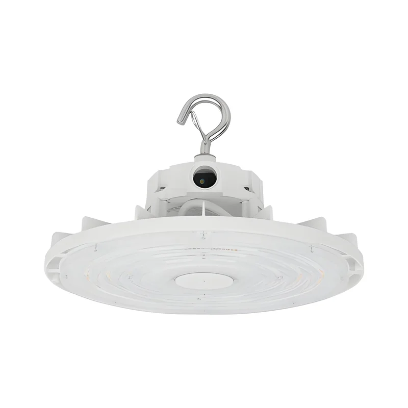 beeslighting32653653