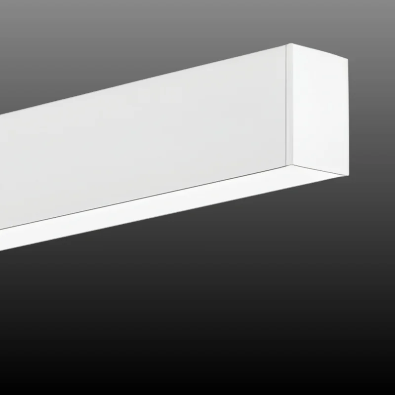 beeslighting32655991