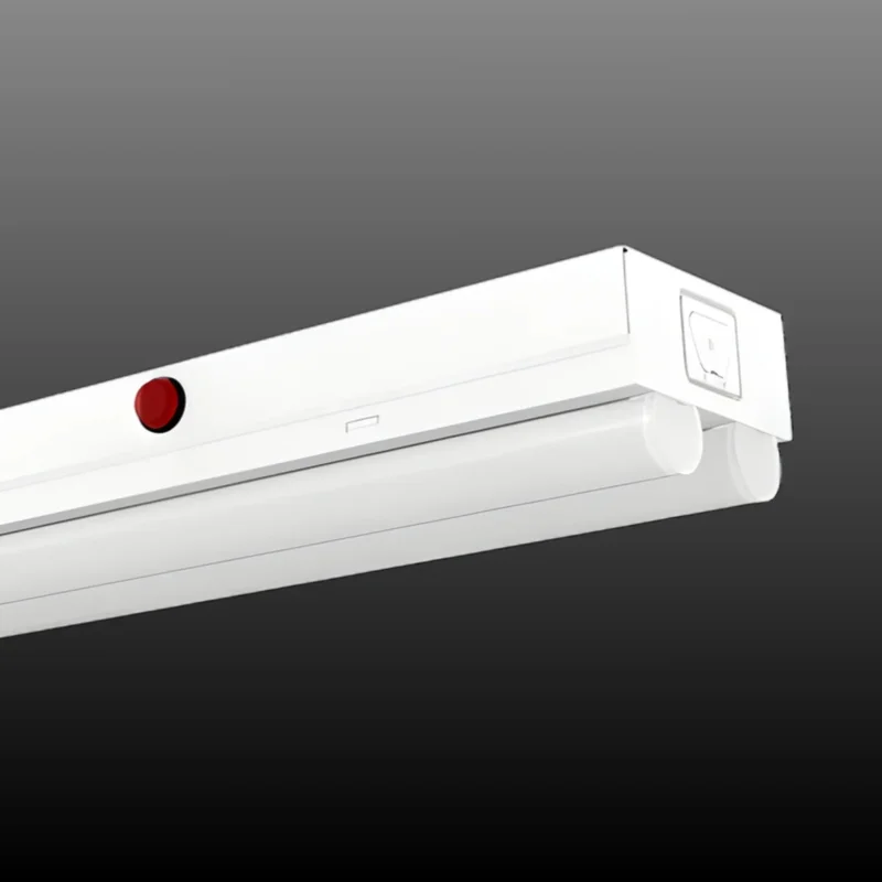 beeslighting32656793