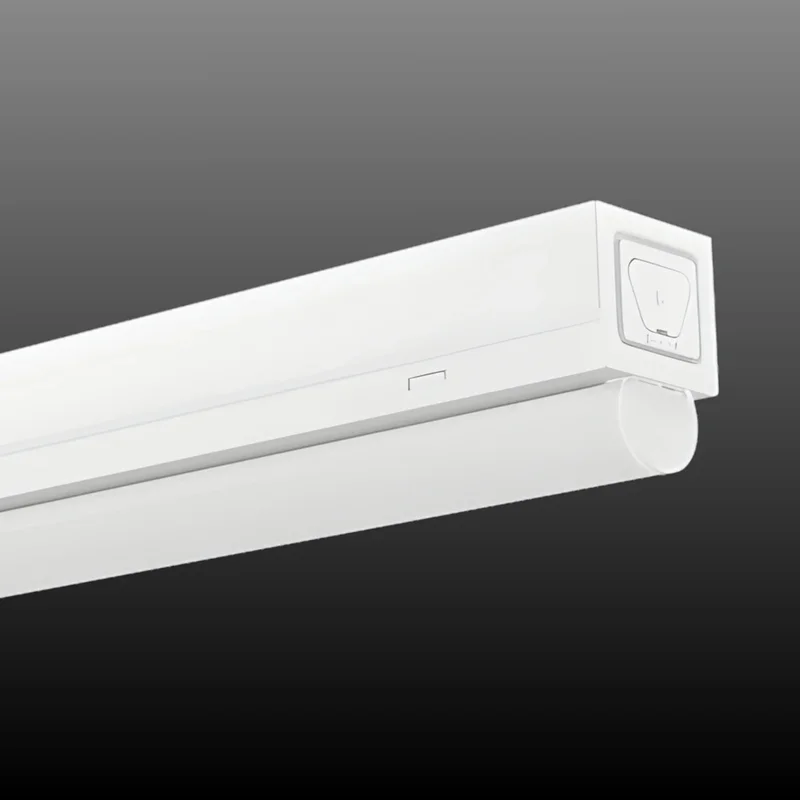 beeslighting32656820