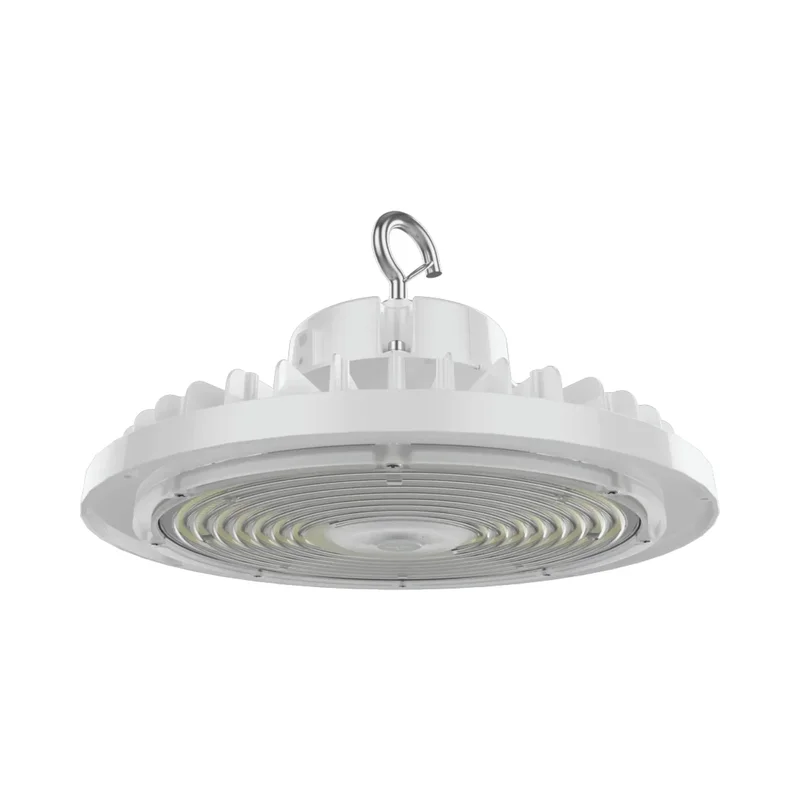 beeslighting32657079