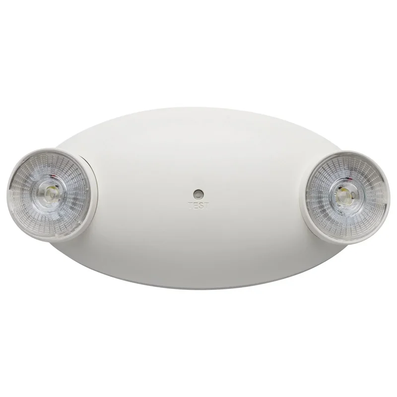 beeslighting32659526