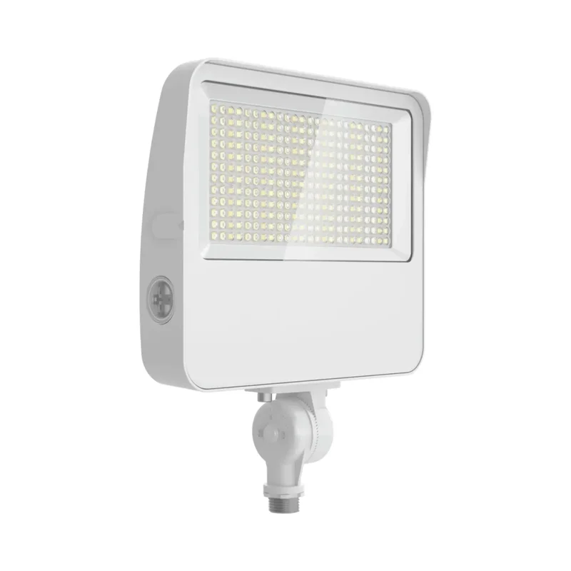 beeslighting32659767