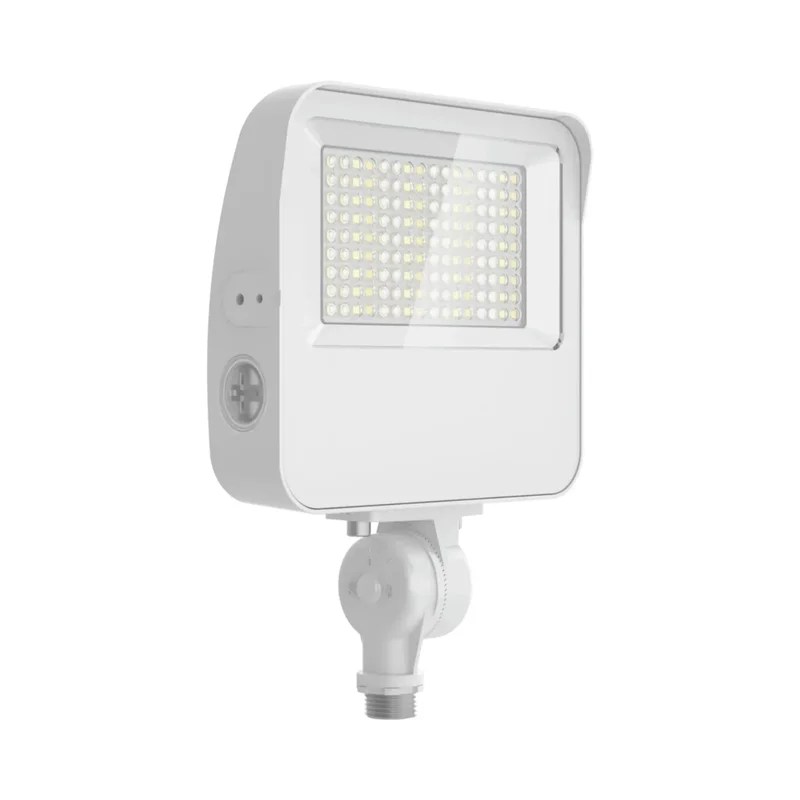 beeslighting32659780