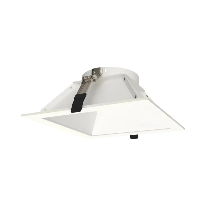 beeslighting32660105